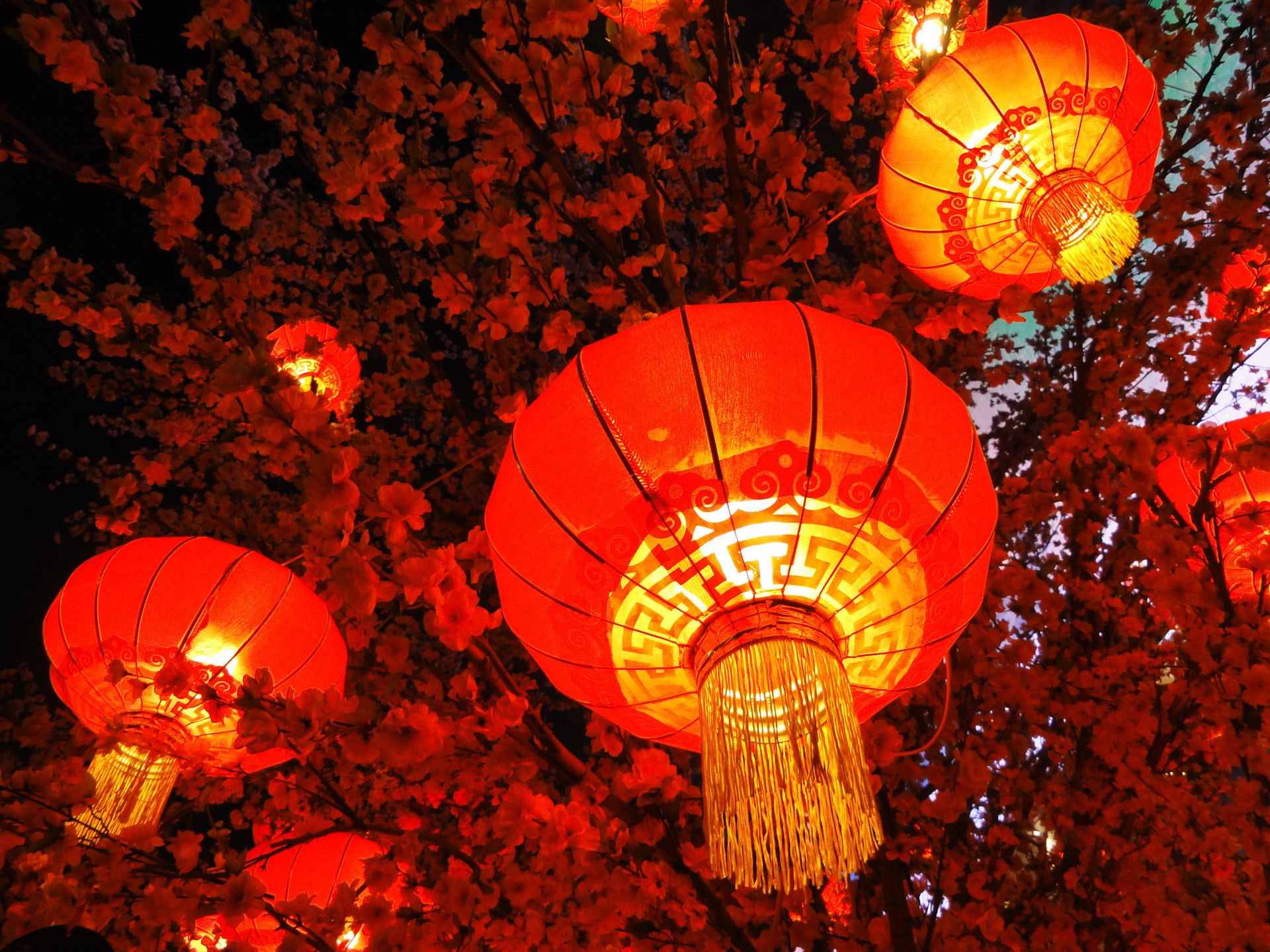 秦開電氣設(shè)備恭祝全國人民新年快樂！